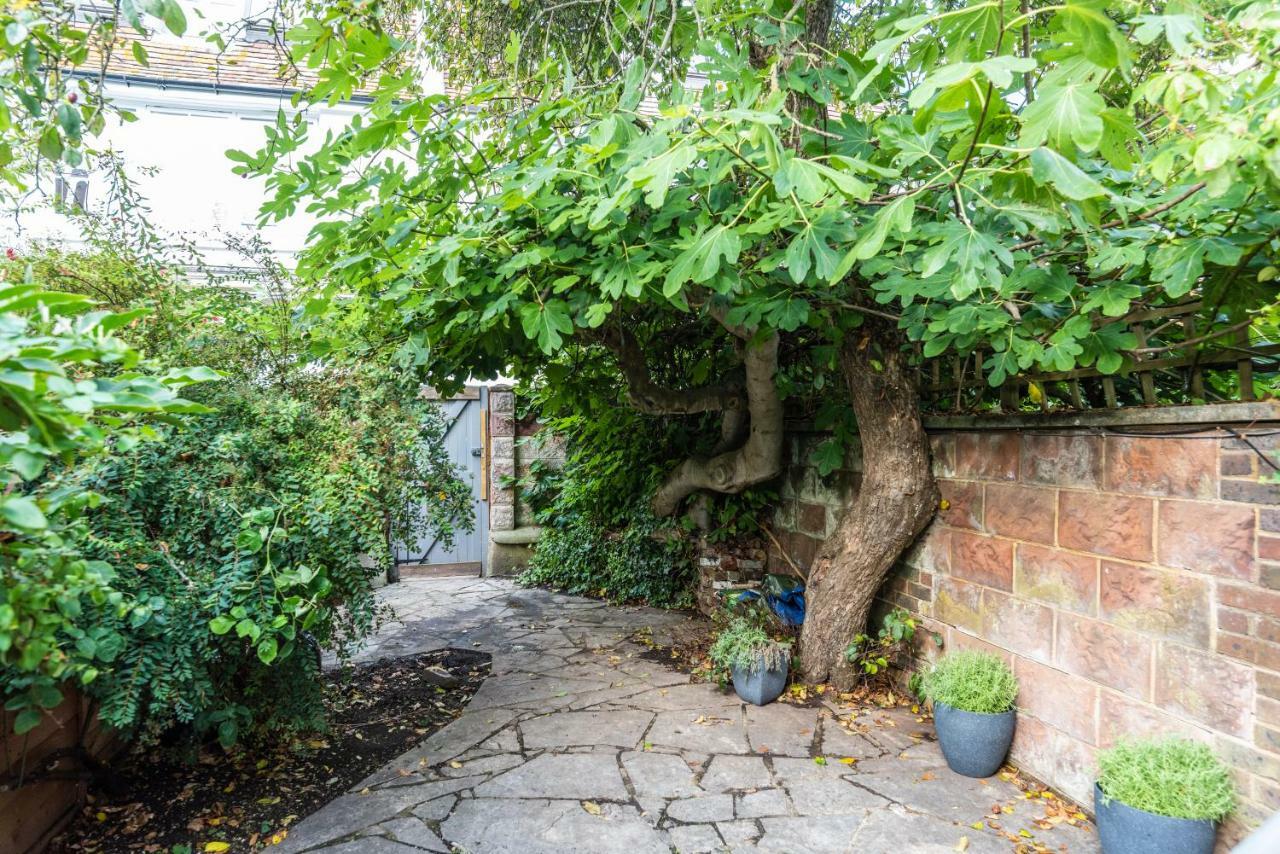 Apartmán Birch At Ship St Gardens Hove Exteriér fotografie